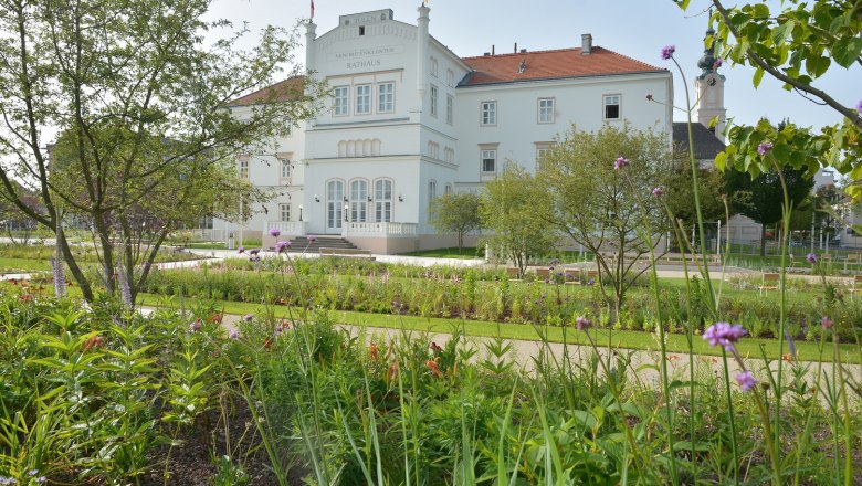 buntes Blumenbeet Klostergarten vor dem Rathaus Tulln