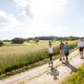 Vier Personen beim Nordic Walking auf einem Feldweg in einer l&auml;ndlichen Landschaft.