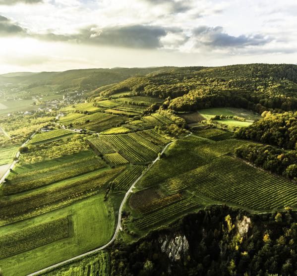 Wölbing Rieden