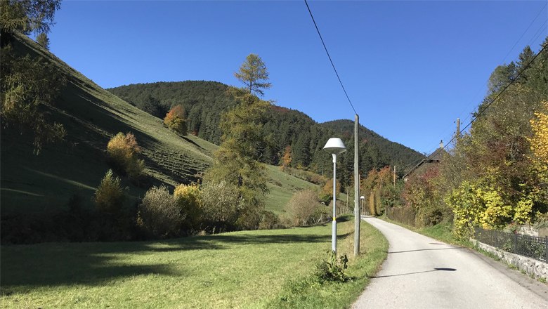 L&auml;ndliche Stra&szlig;e mit Laterne, umgeben von gr&uuml;nen H&uuml;geln und B&auml;umen unter blauem Himmel.
