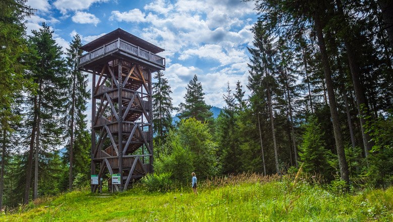Ein h&ouml;lzerner Aussichtsturm steht in einem Waldgebiet, umgeben von hohen B&auml;umen und einer Wiese. Eine Person steht in der N&auml;he des Turms.