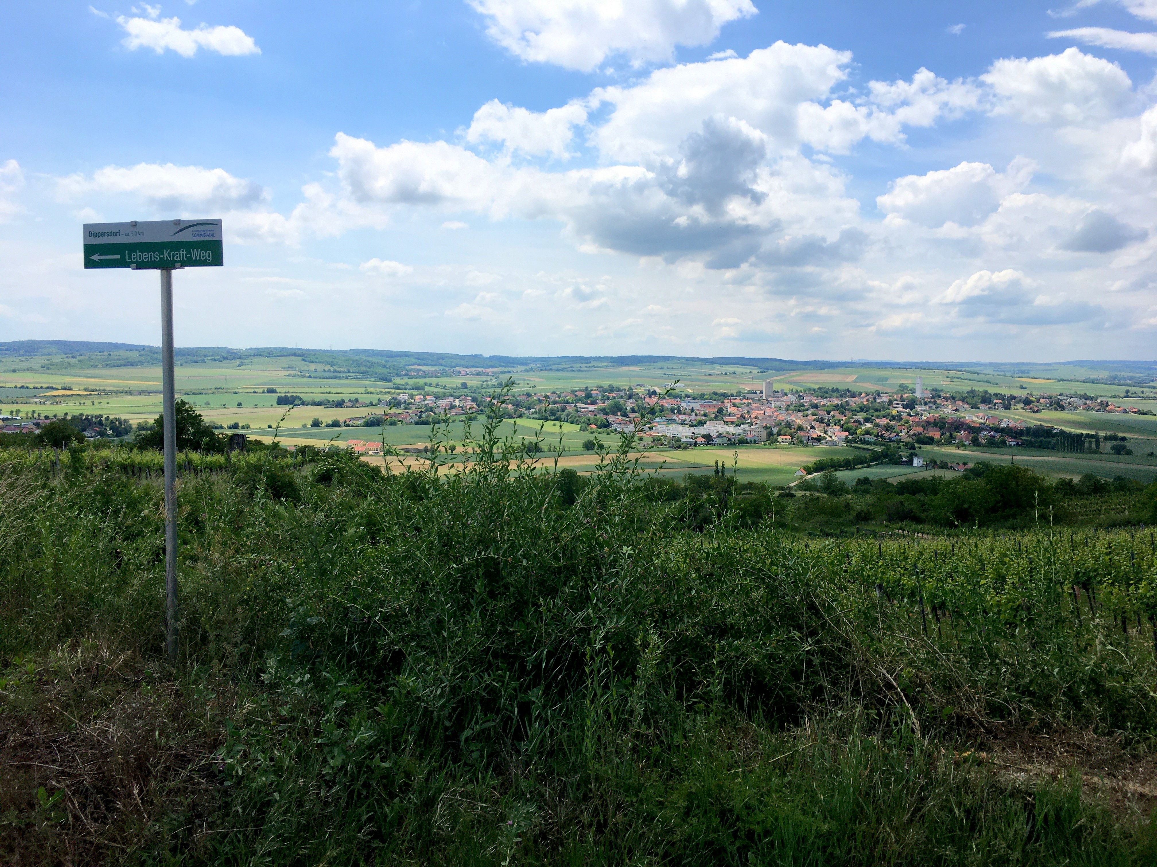 Landschaft mit Blick auf Ziersdorf und Wegweiser 'Lebens-Kraft-Weg'.