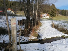 Sonniger Abschnitt nach Unternberg, © Wiener Alpen in Niederösterreich - Wechsel