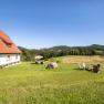 Ferienhaus Hinterbreiteneben, &copy; Joseph Gasteiger