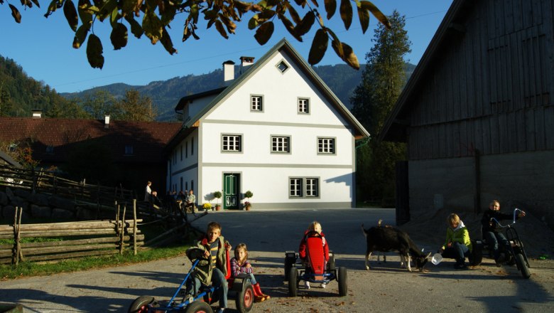 Kinder spielen auf einem Bauernhof mit Kettcars und einer Ziege im Vordergrund.