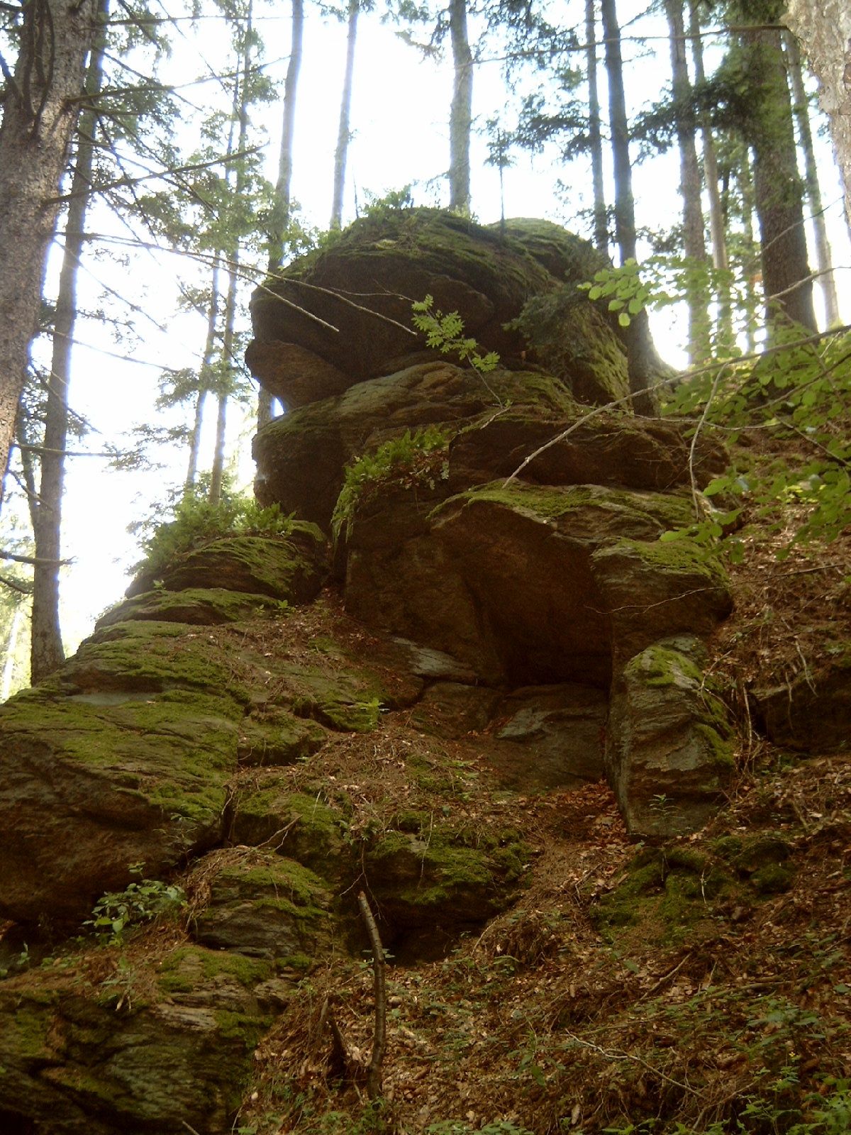 Kapellenwanderung ins Gföhleramt
