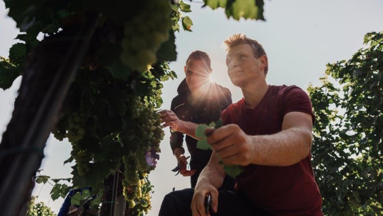 Obsthof Altenriederer, &copy; Monika Jungwirth, Karma & Pitch