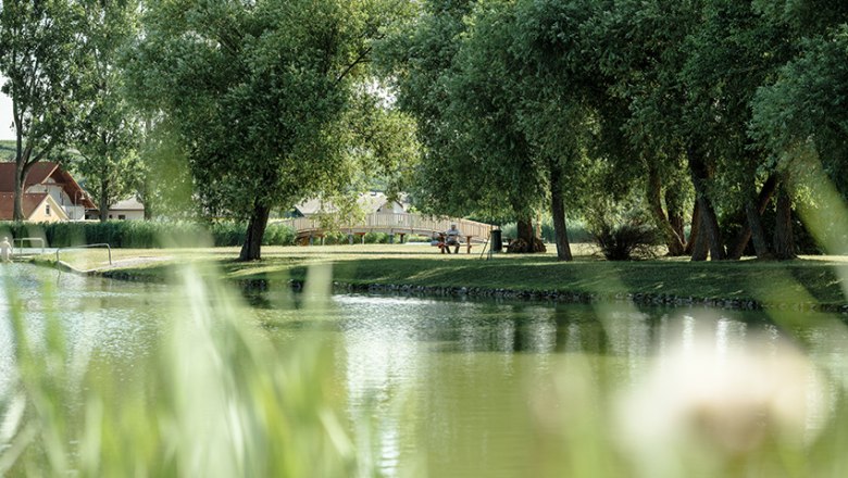 Ein ruhiger Teich mit B&auml;umen und einer Br&uuml;cke im Hintergrund.