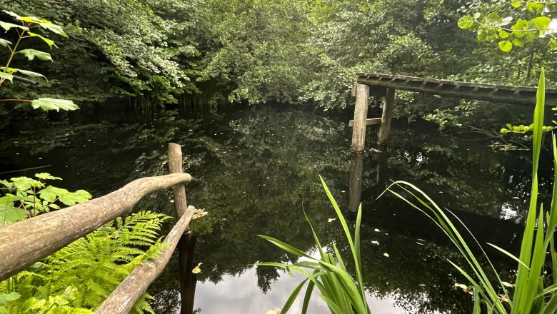 Privater Naturschwimmteich auf dem Hofgelände, © 1000Krauthof