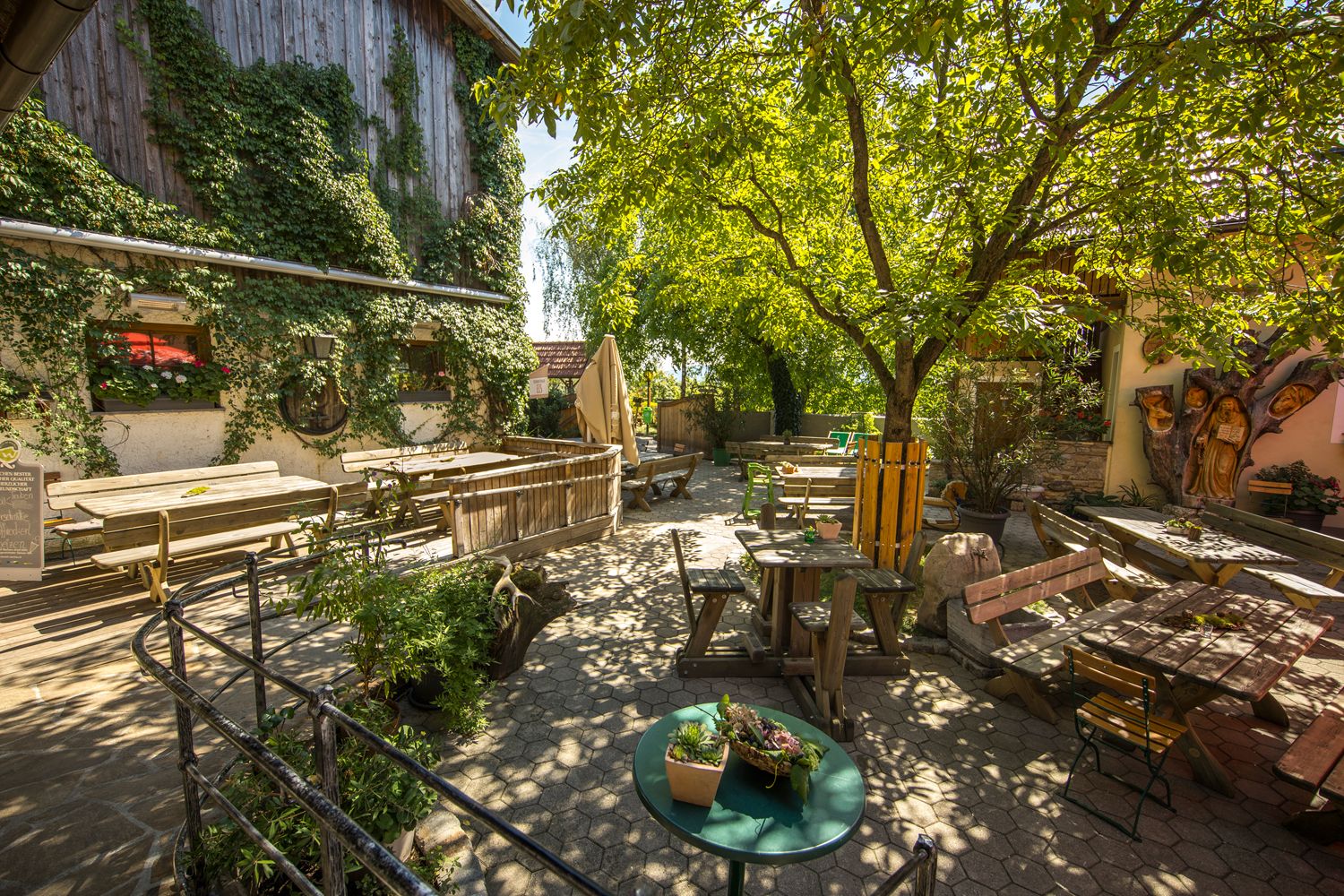 Ein gemütlicher Gastgarten mit Holztischen und Bänken unter einem großen Baum, umgeben von Efeu-bewachsenen Wänden.