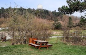 Picknicktisch auf einer Wiese mit Bäumen und einem großen weißen Radom im Hintergrund.