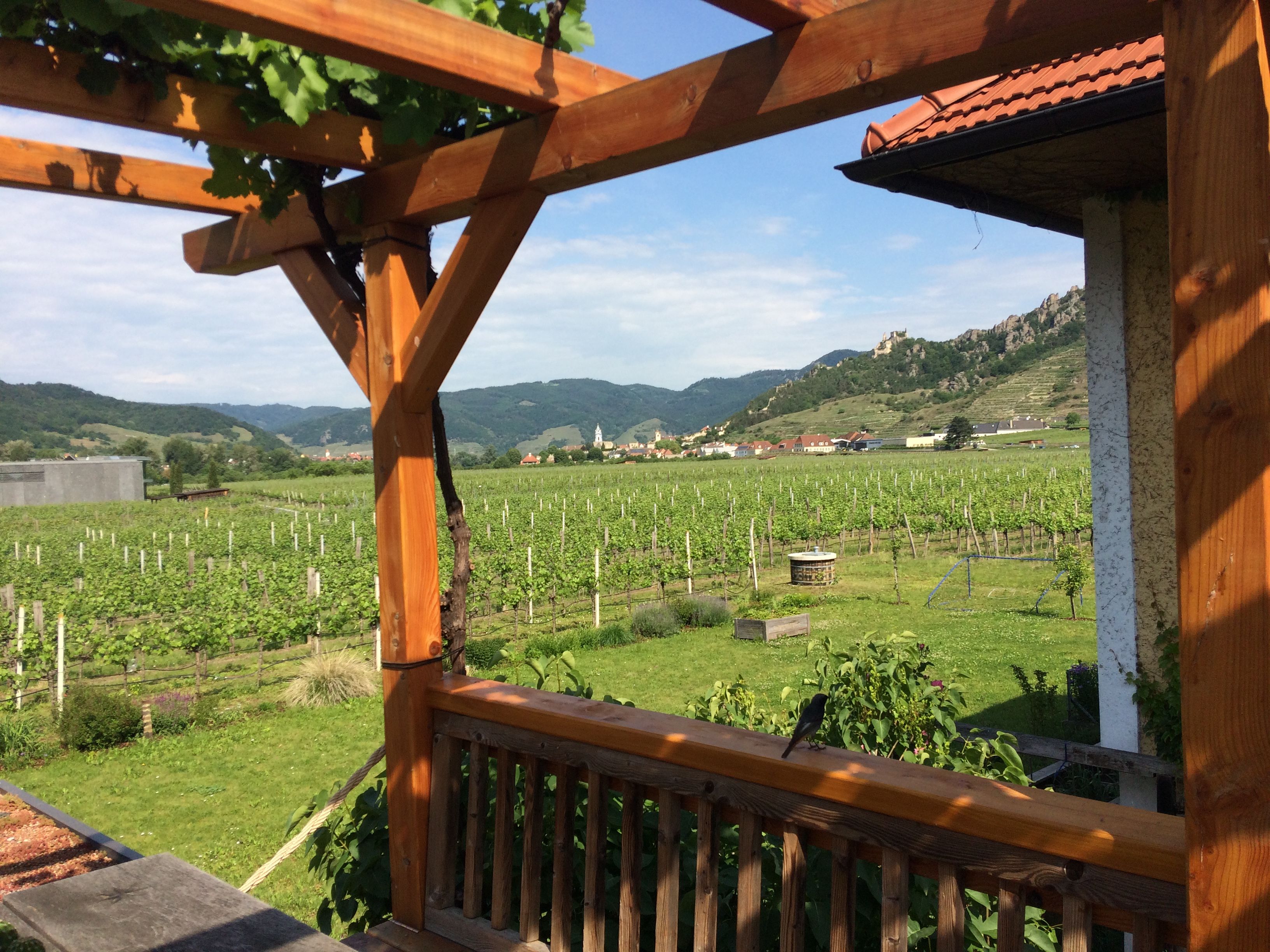 Blick von der Terrasse