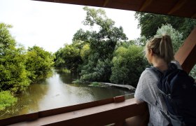 Ein ruhiger Moment am Ufer eines sanft flie&szlig;enden Gew&auml;ssers, umgeben von &uuml;ppigem Gr&uuml;n und majest&auml;tischen B&auml;umen. Die friedliche Atmosph&auml;re l&auml;dt dazu ein, die Natur in ihrer vollen Pracht zu genie&szlig;en und den Alltag hinter sich zu lassen.
