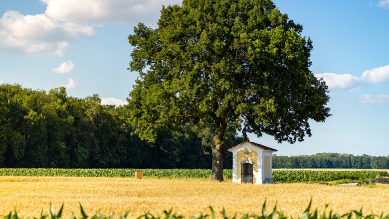 Loechinger-Kapelle, &copy; Marktgemeinde Lichtenw&ouml;rth Philip Steyrer