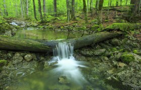 Wildnisgebiet Dürrenstein, © Hans Glader