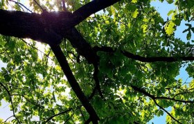 aussenchaletauenblick_c_chaletauenblick, &copy; test