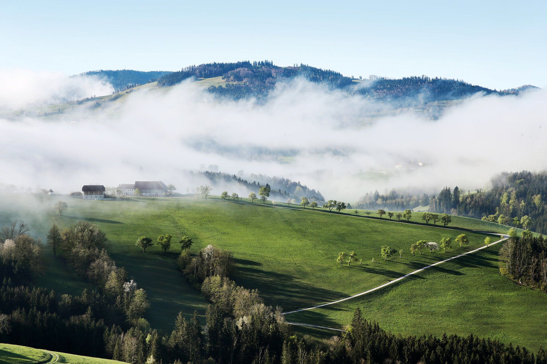 Nebel über ländlichem Tal, grüne Felder und Hügel im Vordergrund.