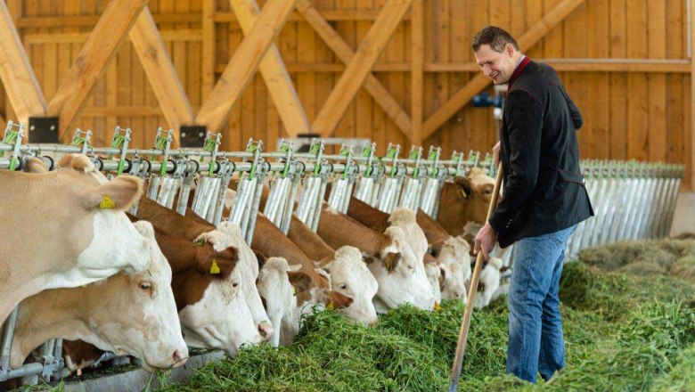 Biohof Hammerschmidt, &copy; Netzwerk Kulinarik/Martina Siebenhandl