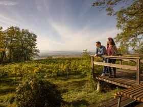 Paar auf Aussichtsplattform mit Blick auf Weing&auml;rten