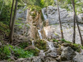 TV Naturfreunde Rundwanderweg, &copy; Wiener Alpen in Nieder&ouml;sterreich - Schneeberg Hohe Wand