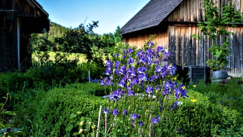 Ein Garten mit lila Blumen im Vordergrund und Holzh&uuml;tten im Hintergrund.