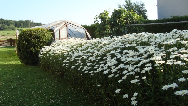 Gew&auml;chshaus, &copy; Fam. Sommer-Leitner