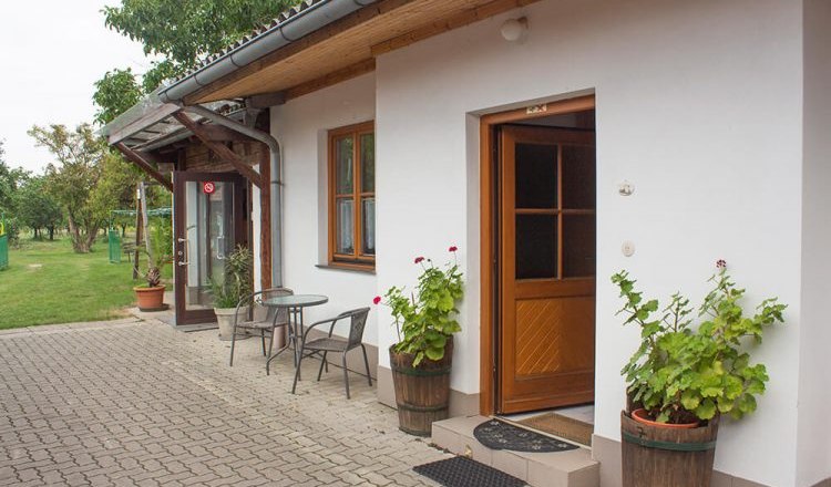 Außenansicht eines Gartenzimmers mit Holztür, Fenstern und Pflanzen in Töpfen.