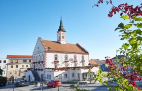 Die charmante Stadtmauerstadt erstrahlt im warmen Licht des Nachmittags. Das historische Rathaus, umgeben von bl&uuml;henden Pflanzen, l&auml;dt dazu ein, die Geschichte und Kultur dieser malerischen Region zu entdecken.