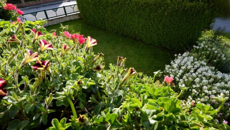 Garten, &copy; Regina Petric