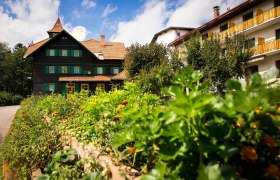 Ein traditionelles Geb&auml;ude mit gr&uuml;nem Fensterladen und einem Garten im Vordergrund unter blauem Himmel.
