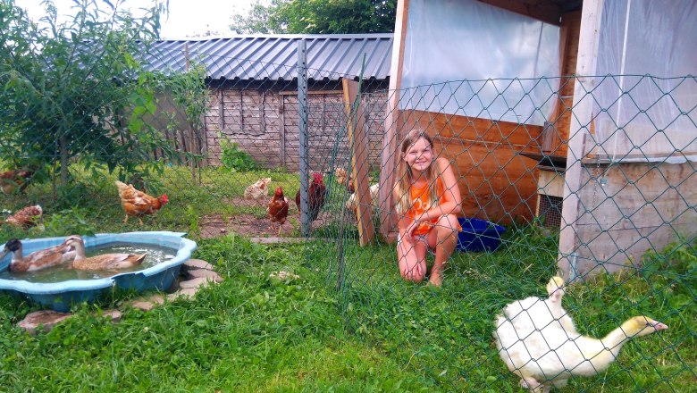 Federvieh, &copy; Lothspieler