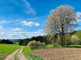 Weitra, &copy; Dr. Markus Peham