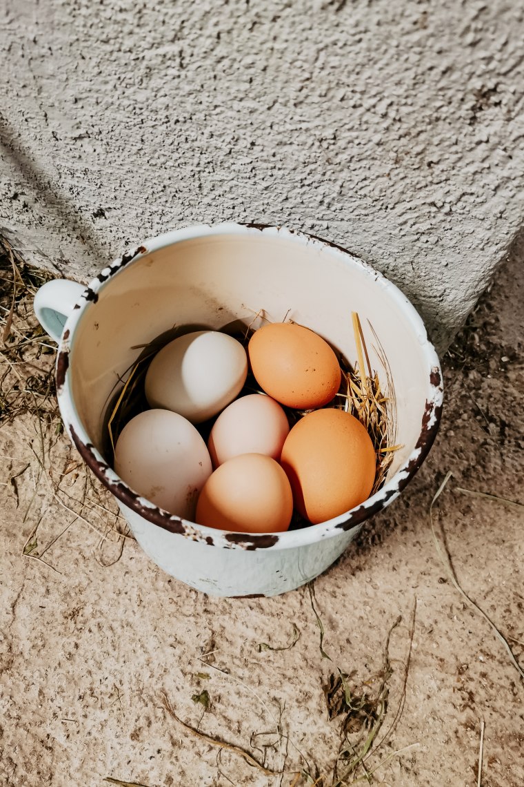 Frische Eier zum Frühstück, © Maunzimadame