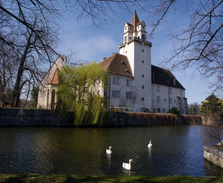 Schloss Ebreichsdorf mit Teich und Schwänen im Vordergrund.