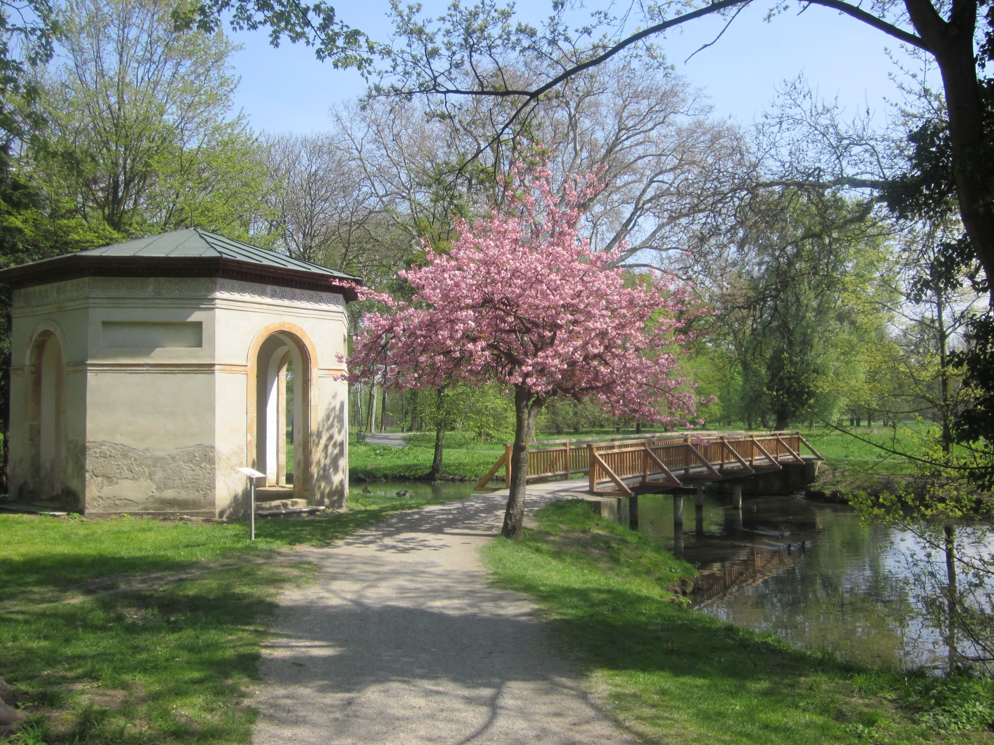 Pavillon im Park im Frühling mit blühendem Baum