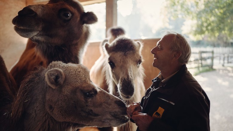 Tierpark Stadt Haag, &copy; Moststra&szlig;e, dochbodnliacht