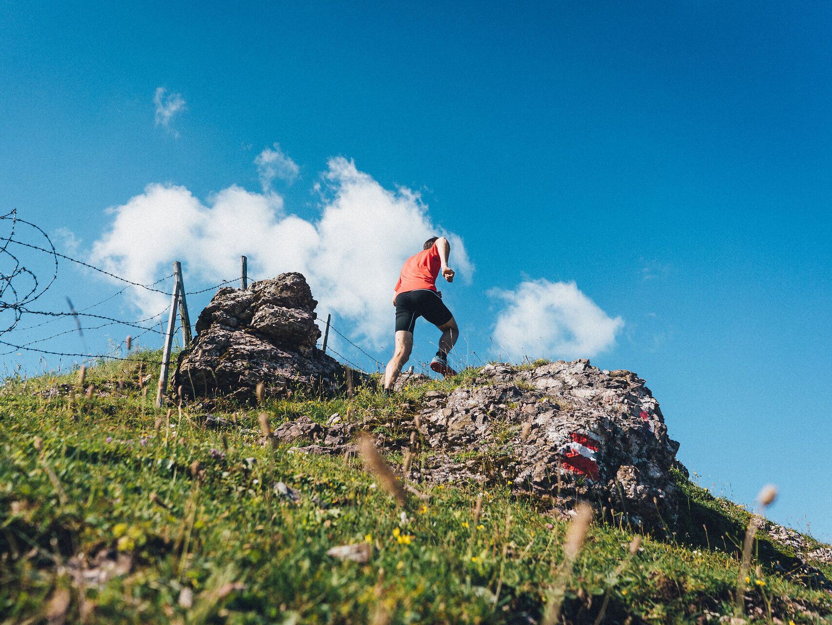 Ein Bergsteiger erklimmt die sanften Hänge des Schneebergs, umgeben von einer atemberaubenden Landschaft. Die frische Bergluft und die strahlende Sonne schaffen eine perfekte Kulisse für ein unvergessliches Abenteuer in den Wiener Alpen.
