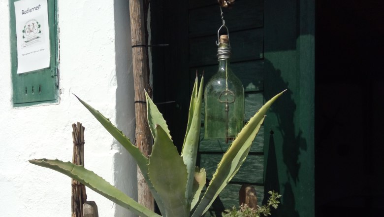 Pflanze in einem Holzfass vor einer gr&uuml;nen T&uuml;r mit einem Schild 'Radlerrast'.
