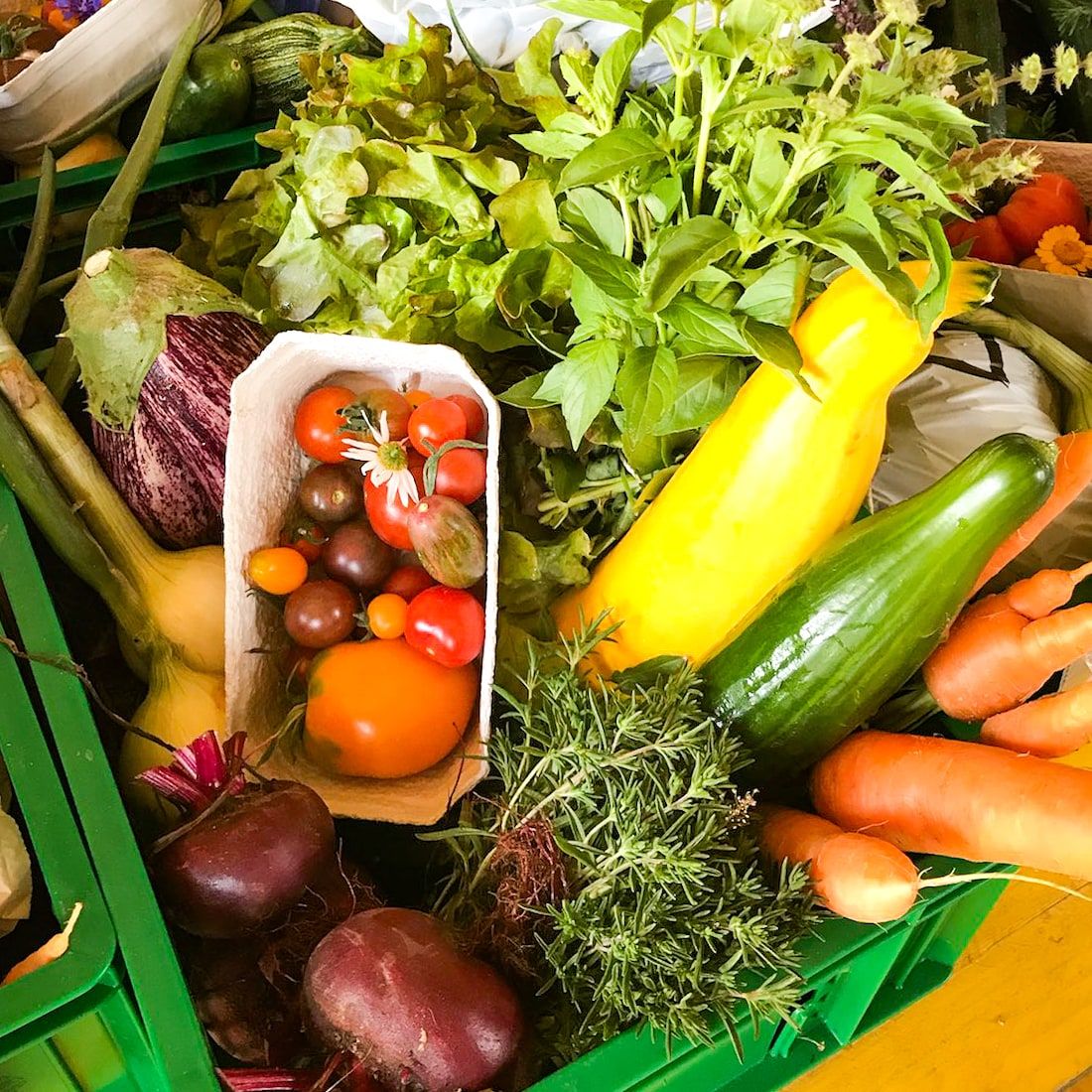 Grüne Kiste mit frischen Kräutern und Gemüse wie Tomaten, Gurken und Zucchini.