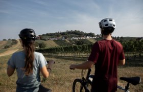 Die sanften H&uuml;gel des Weinviertels laden zu einer erfrischenden Radtour ein. Umgeben von &uuml;ppigen Weinreben und malerischen Ausblicken, genie&szlig;en die Radfahrer die friedliche Atmosph&auml;re und die Sch&ouml;nheit der Natur. Ein perfekter Ort, um die Seele baumeln zu lassen und die frische Luft zu atmen.