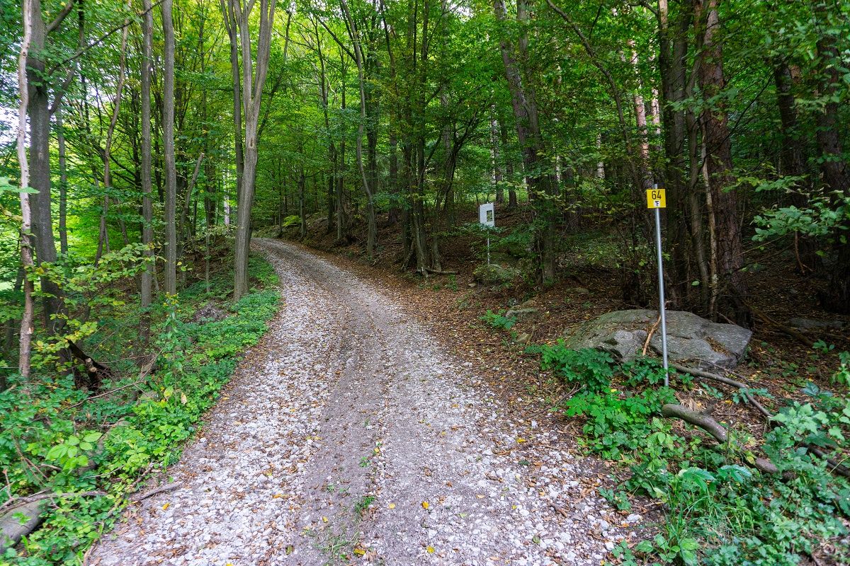 Weg nach Loibersdorf am Stein und Zeit Weg