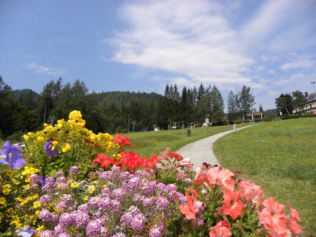 Bunte Blumen im Vordergrund, ein Weg führt durch eine grüne Wiese, umgeben von Bäumen unter blauem Himmel.