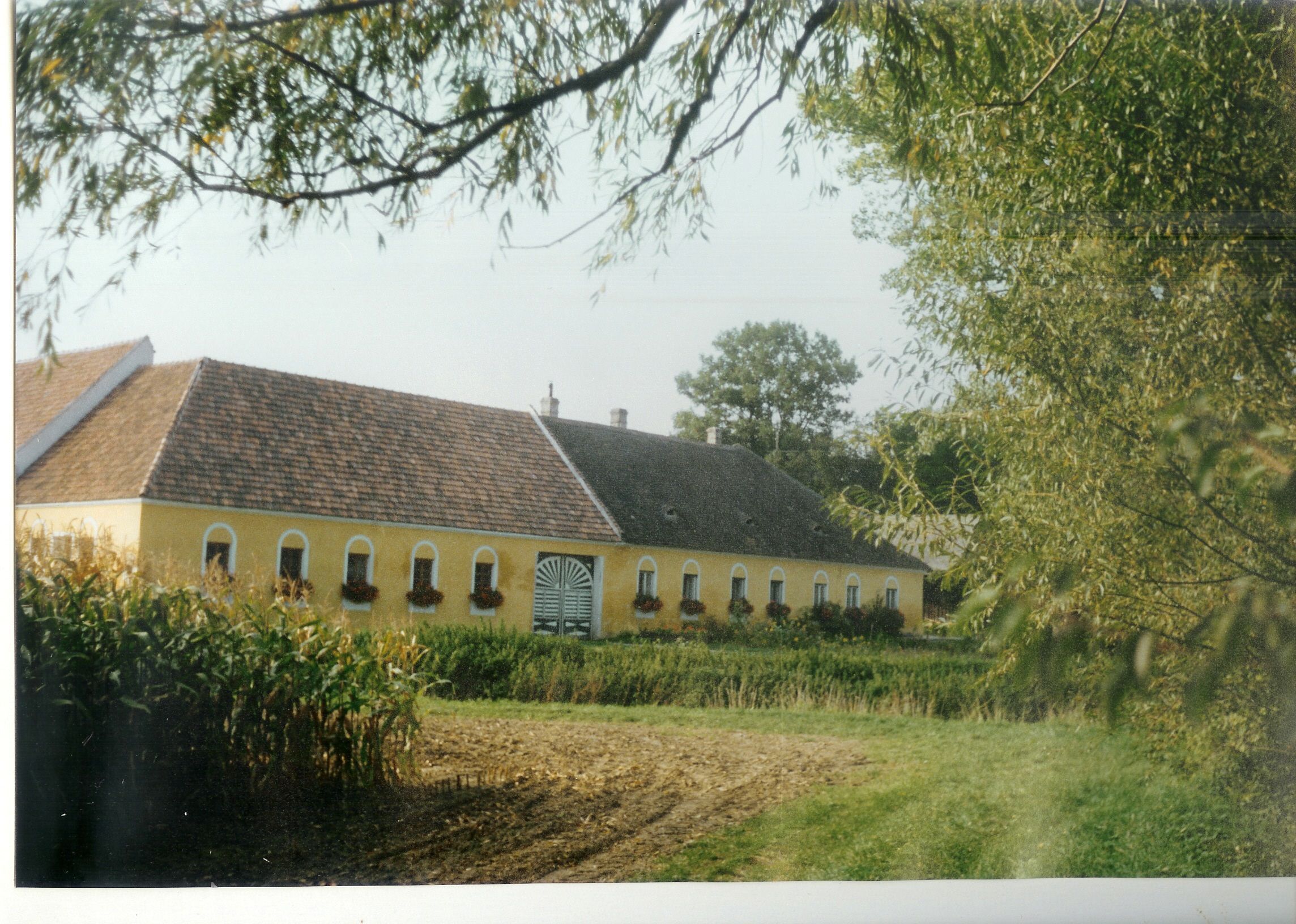 Ein gelbes Bauernhaus mit Blumen in den Fenstern, umgeben von Bäumen und Feldern.