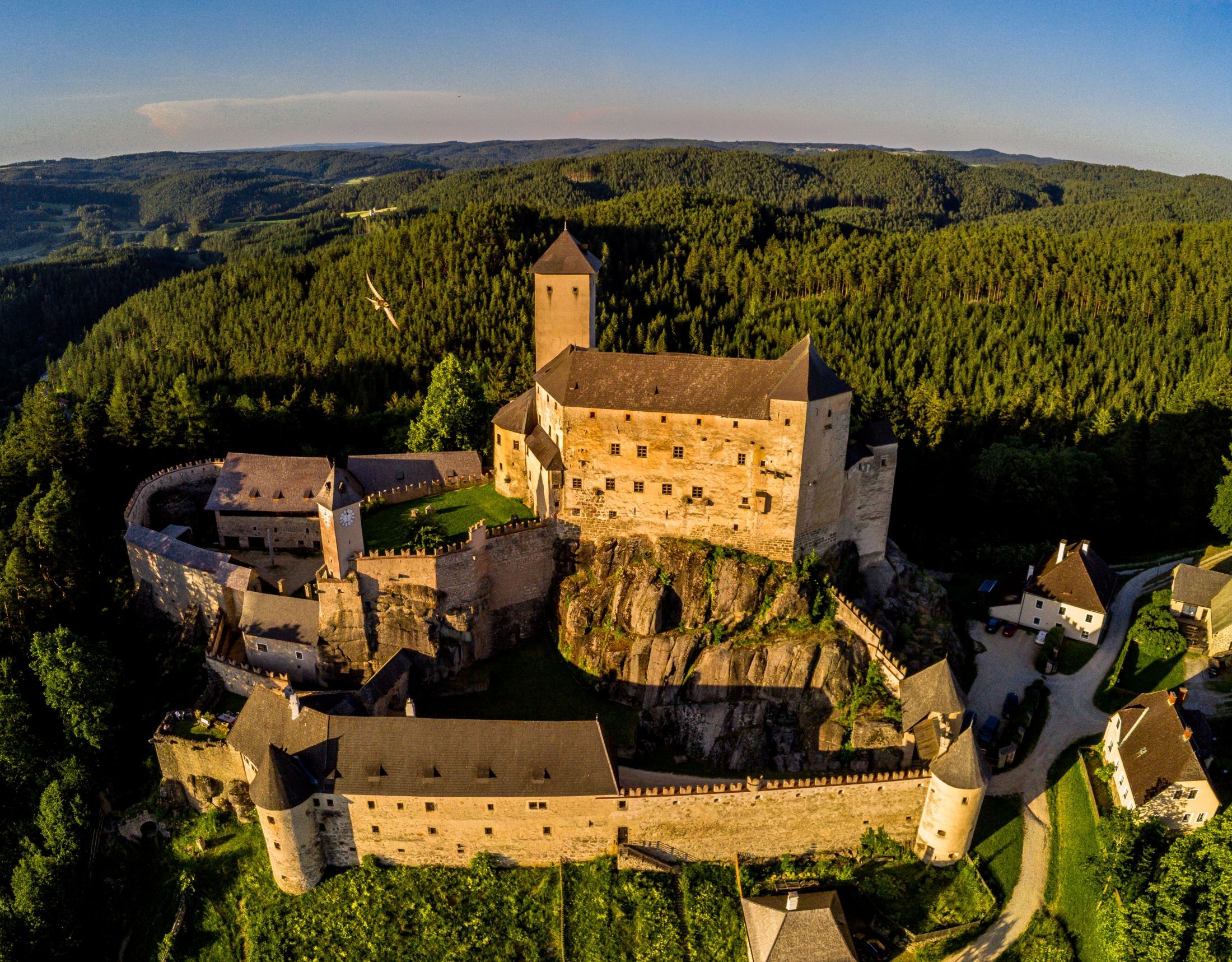 Luftaufnahme der Burg Rappottenstein umgeben von Wald.