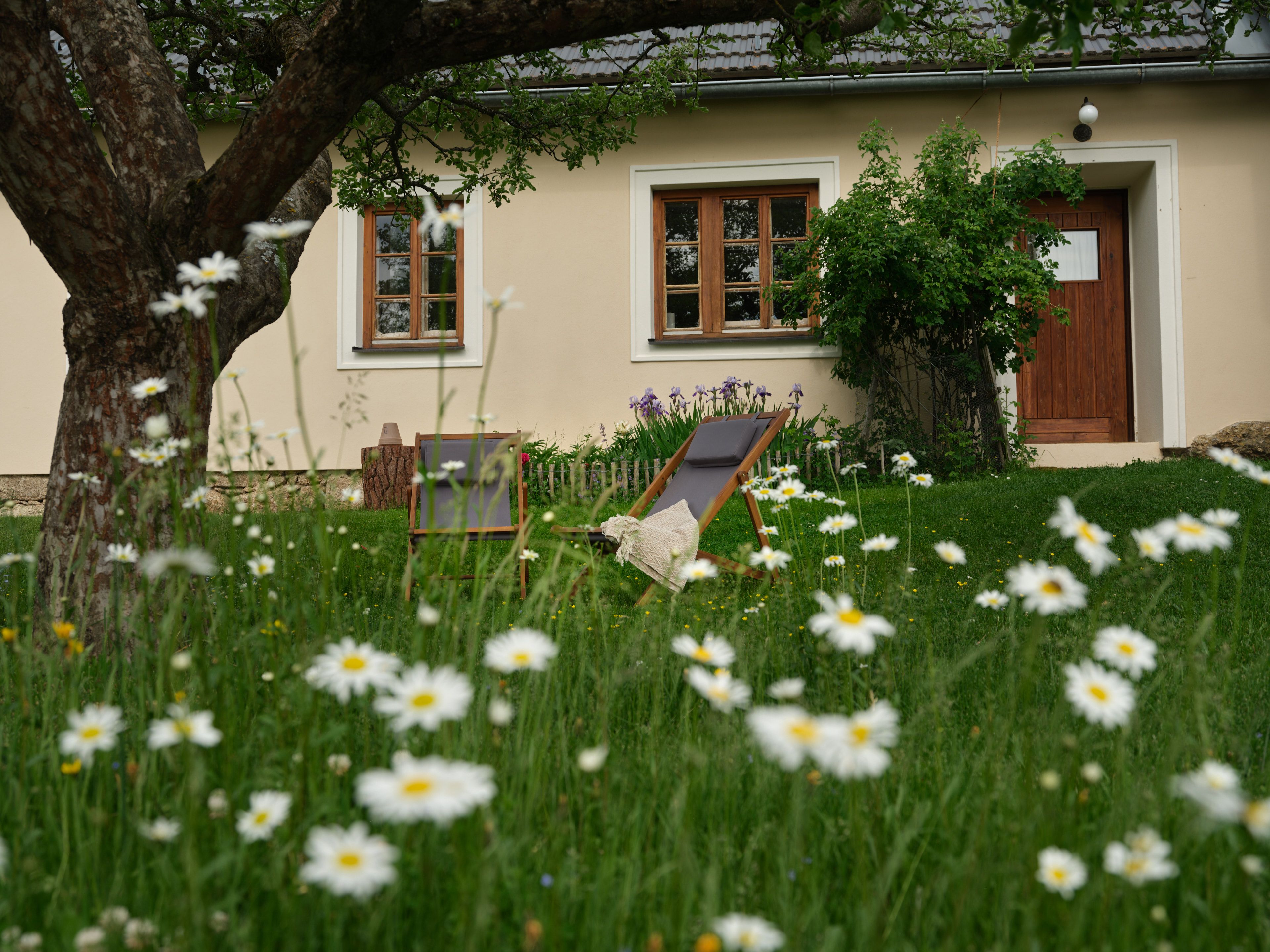 Obstgarten