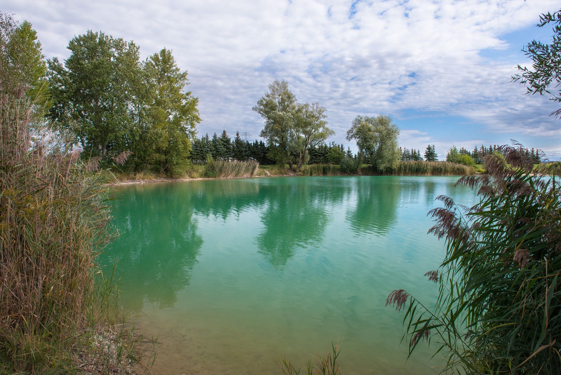 Ein ruhiger See mit klarem, türkisfarbenem Wasser, umgeben von Bäumen und Schilf unter einem bewölkten Himmel.