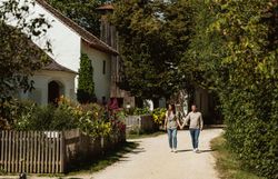 In der malerischen Umgebung des Weinviertler Museumsdorfes Niedersulz schlendern ein Paar Hand in Hand entlang einer von Bäumen gesäumten Straße. Die charmanten, historischen Gebäude und die üppige Vegetation schaffen eine einladende Atmosphäre, die zum Verweilen und Entdecken einlädt.