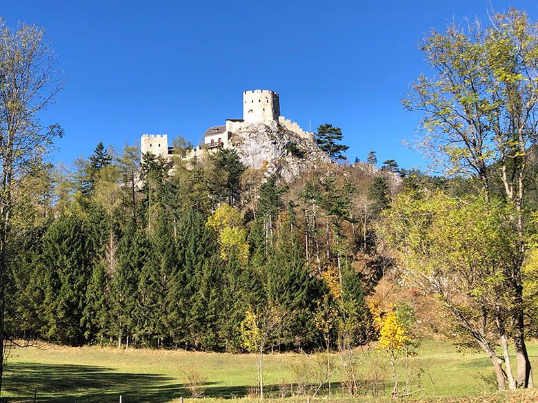 Ruine Losenheim auf einem Hügel mit Bäumen im Vordergrund.