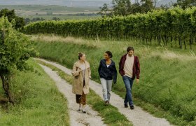 WeinWeg Langenlois, © Niederösterreich Werbung/Julius Hirtzberger