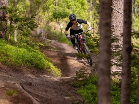 Singletrail 1, © Wexl Trails